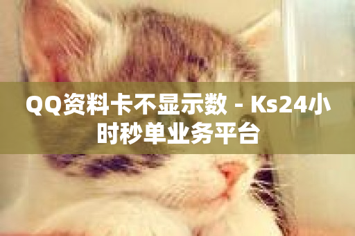 QQ资料卡不显示数 - Ks24小时秒单业务平台-第1张图片-ZBLOG