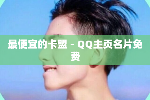 最便宜的卡盟 - QQ主页名片免费-第1张图片-ZBLOG