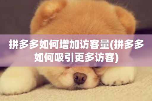 拼多多如何增加访客量(拼多多如何吸引更多访客)-第1张图片-ZBLOG