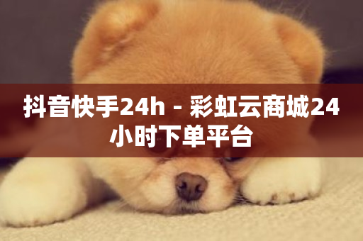 抖音快手24h - 彩虹云商城24小时下单平台-第1张图片-ZBLOG