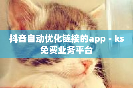 抖音自动优化链接的app - ks免费业务平台