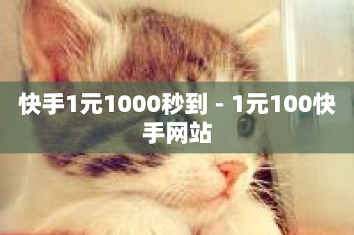 快手1元1000秒到 - 1元100快手网站-第1张图片-ZBLOG