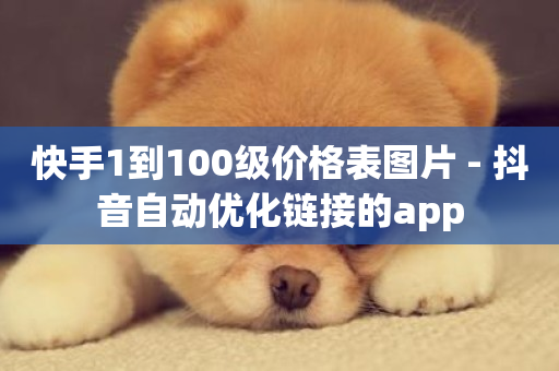 快手1到100级价格表图片 - 抖音自动优化链接的app-第1张图片-ZBLOG