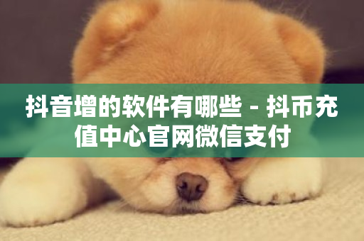 抖音增的软件有哪些 - 抖币充值中心官网微信支付-第1张图片-ZBLOG