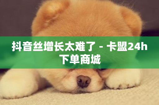 抖音丝增长太难了 - 卡盟24h下单商城-第1张图片-ZBLOG