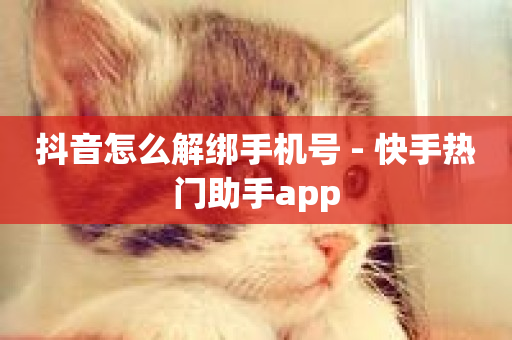 抖音怎么解绑手机号 - 快手热门助手app-第1张图片-ZBLOG