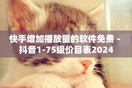 快手增加播放量的软件免费 - 抖音1-75级价目表2024-第1张图片-ZBLOG