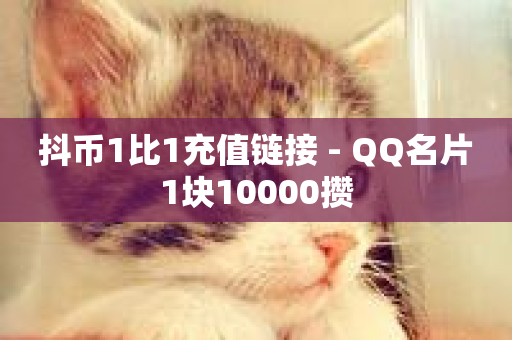 抖币1比1充值链接 - QQ名片1块10000攒-第1张图片-ZBLOG