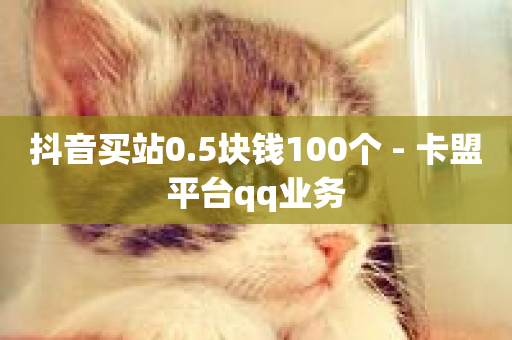 抖音买站0.5块钱100个 - 卡盟平台qq业务