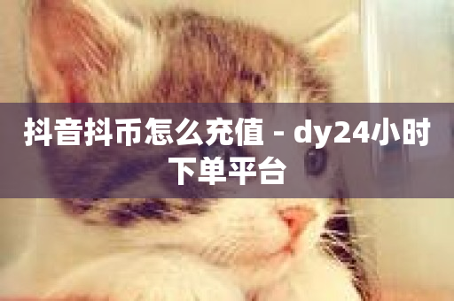 抖音抖币怎么充值 - dy24小时下单平台-第1张图片-ZBLOG