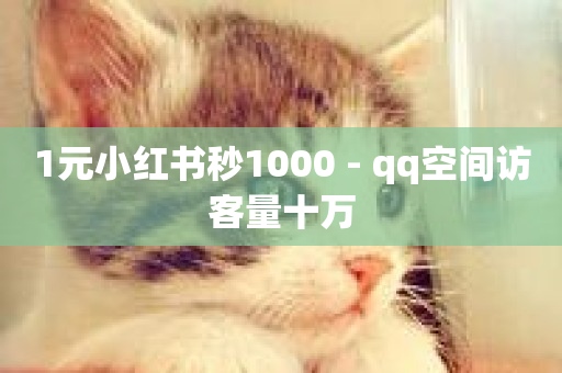 1元小红书秒1000 - qq空间访客量十万-第1张图片-ZBLOG