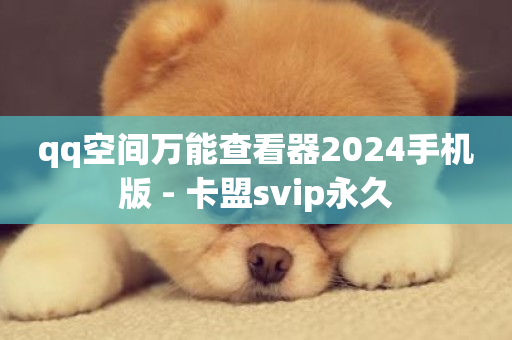 qq空间万能查看器2024手机版 - 卡盟svip永久