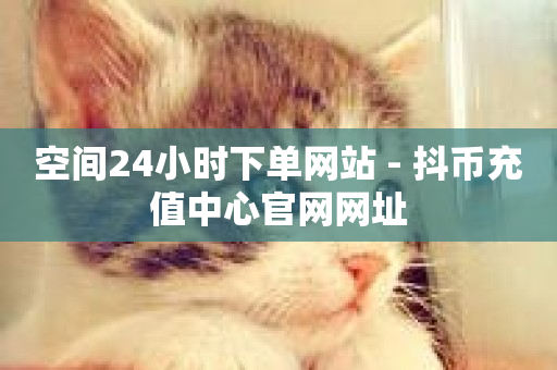 空间24小时下单网站 - 抖币充值中心官网网址-第1张图片-ZBLOG