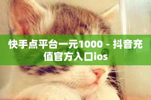 快手点平台一元1000 - 抖音充值官方入口ios-第1张图片-ZBLOG