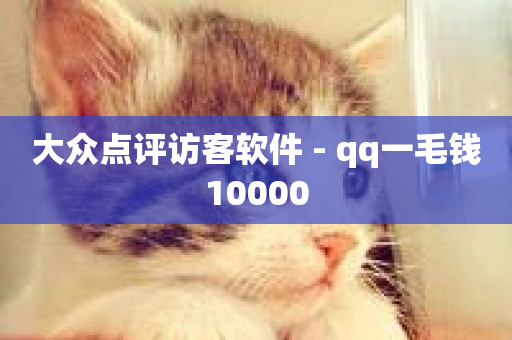 大众点评访客软件 - qq一毛钱10000-第1张图片-ZBLOG