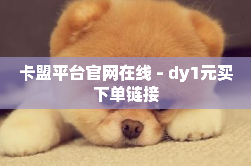 卡盟平台官网在线 - dy1元买下单链接