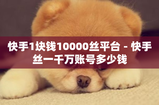 快手1块钱10000丝平台 - 快手丝一千万账号多少钱-第1张图片-ZBLOG