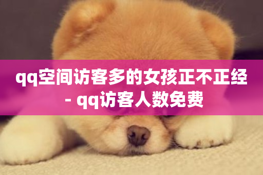 qq空间访客多的女孩正不正经 - qq访客人数免费-第1张图片-ZBLOG