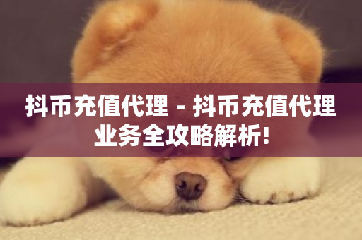 抖币充值代理 - 抖币充值代理业务全攻略解析!-第1张图片-ZBLOG