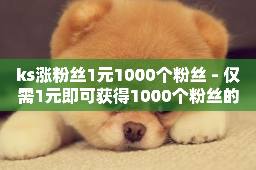 ks涨粉丝1元1000个粉丝 - 仅需1元即可获得1000个粉丝的绝佳机会!