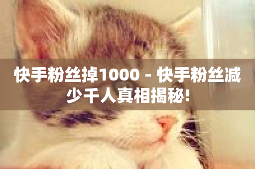 快手粉丝掉1000 - 快手粉丝减少千人真相揭秘!-第1张图片-ZBLOG