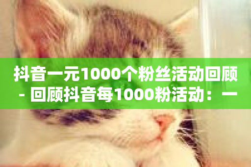 抖音一元1000个粉丝活动回顾 - 回顾抖音每1000粉活动：一元粉丝回顾!-第1张图片-ZBLOG