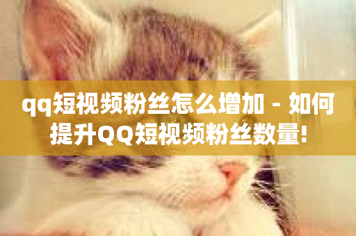 qq短视频粉丝怎么增加 - 如何提升QQ短视频粉丝数量!-第1张图片-ZBLOG