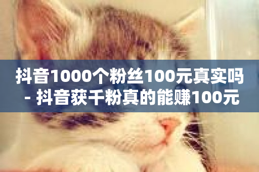 抖音1000个粉丝100元真实吗 - 抖音获千粉真的能赚100元吗!