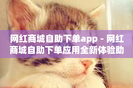 网红商城自助下单app - 网红商城自助下单应用全新体验助手!