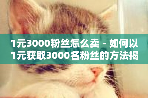 1元3000粉丝怎么卖 - 如何以1元获取3000名粉丝的方法揭秘!