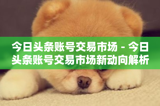 今日头条账号交易市场 - 今日头条账号交易市场新动向解析!-第1张图片-ZBLOG