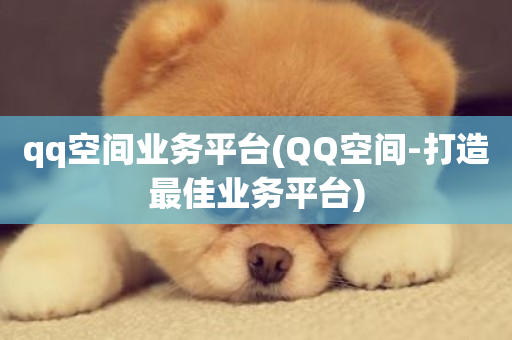 qq空间业务平台(QQ空间-打造最佳业务平台)-第1张图片-ZBLOG